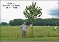 cache125_millennium-tree2-1