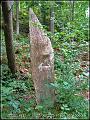 cache139_fondcrasse3_3107-1