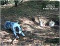 cache13_Vechtdal1_1_web-1