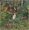 cache173_bolletje_161005