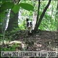 cache262_leemkoeln1_2007060